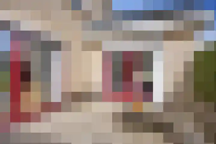 It Koekoekslân 11 Arum thumbnail 40