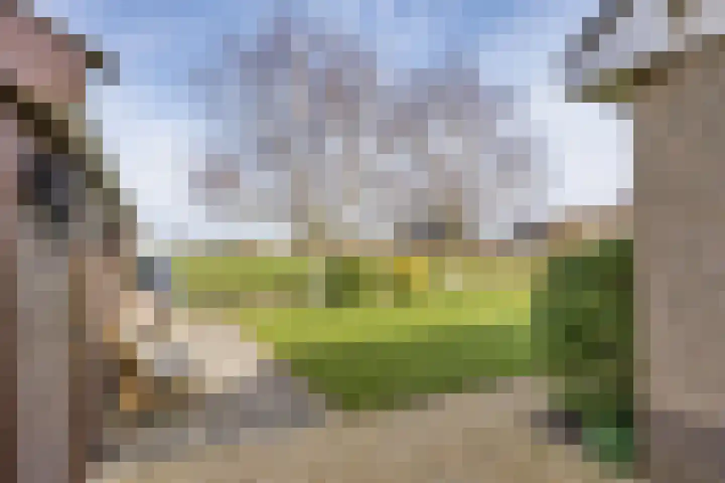 It Koekoekslân 11 Arum thumbnail 41