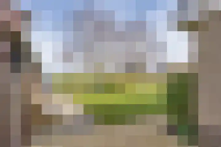 It Koekoekslân 11 Arum thumbnail 41