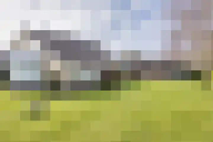 It Koekoekslân 11 Arum thumbnail 42