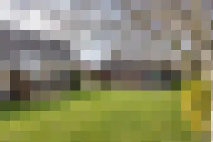 It Koekoekslân 11 Arum thumbnail 44