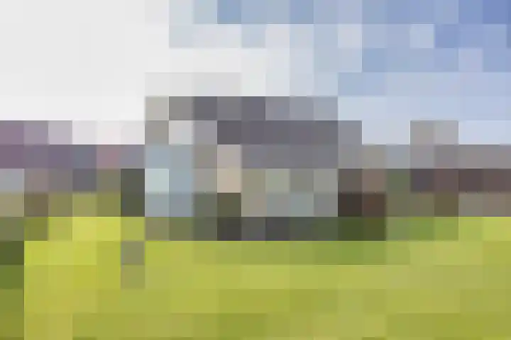 It Koekoekslân 11 Arum thumbnail 45