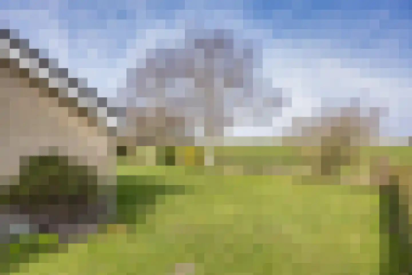 It Koekoekslân 11 Arum thumbnail 46