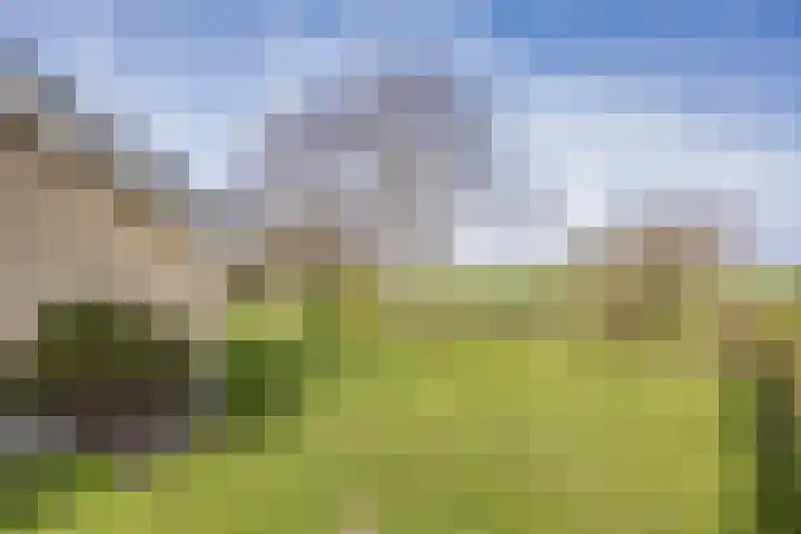 It Koekoekslân 11 Arum thumbnail 46