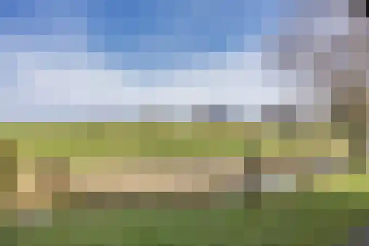 It Koekoekslân 11 Arum thumbnail 47