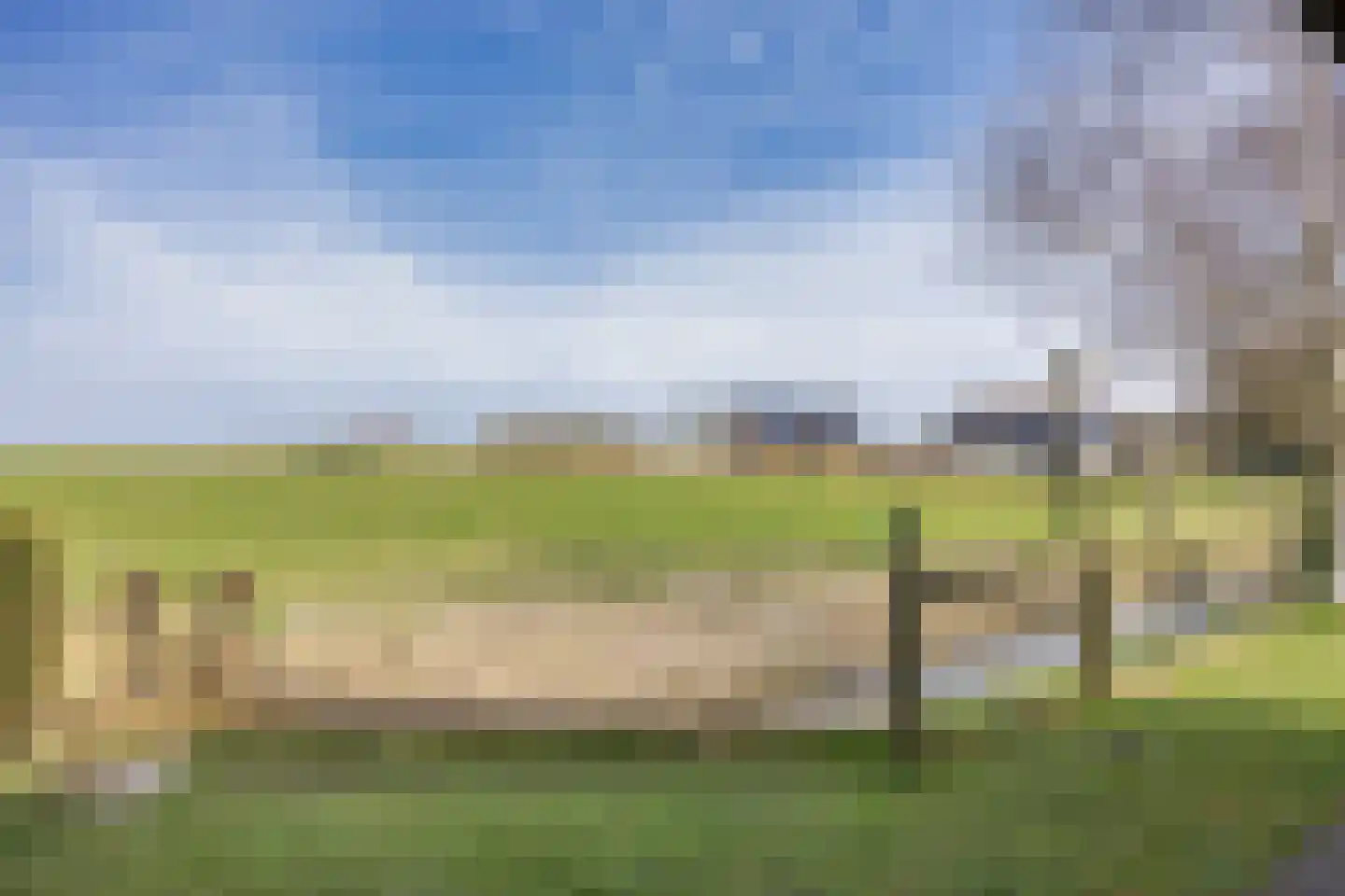 It Koekoekslân 11 Arum thumbnail 47