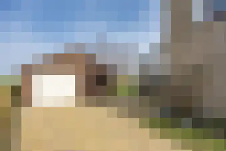 It Koekoekslân 11 Arum thumbnail 49