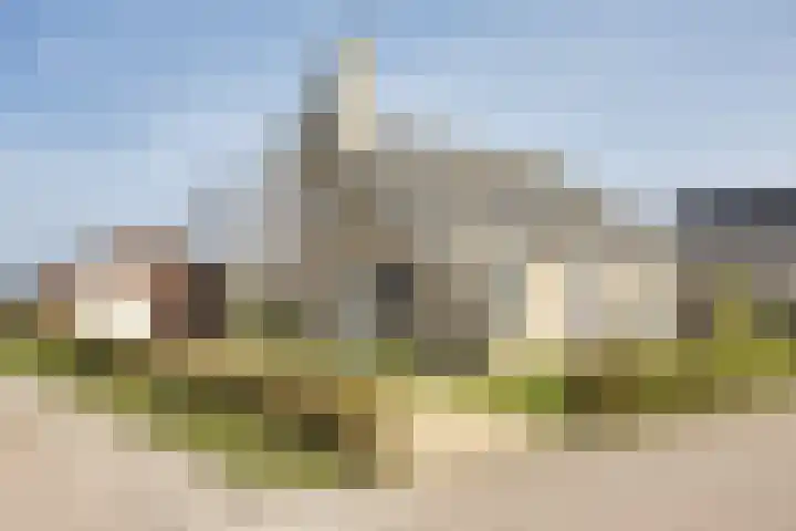 It Koekoekslân 11 Arum thumbnail 5
