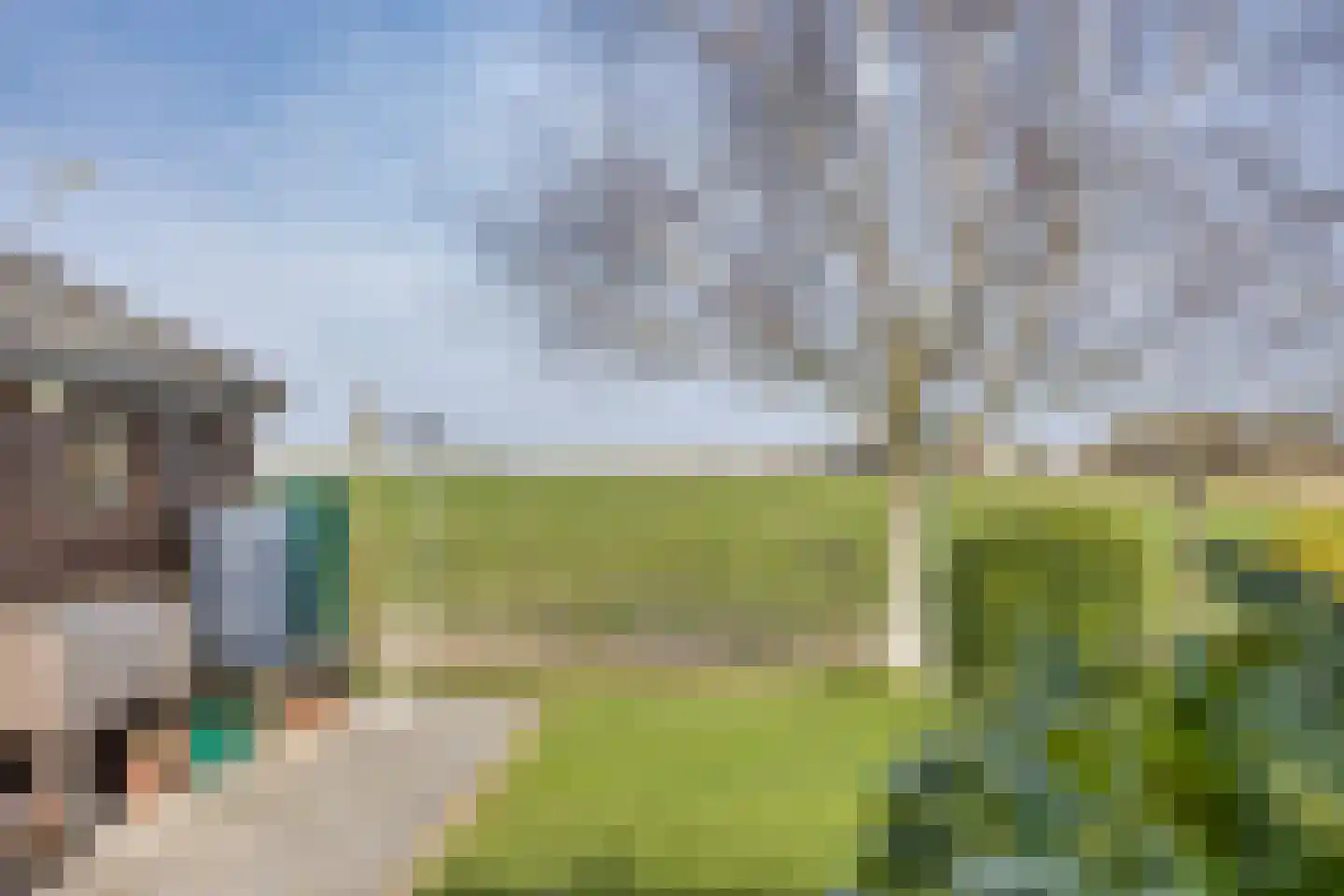 It Koekoekslân 11 Arum thumbnail 50