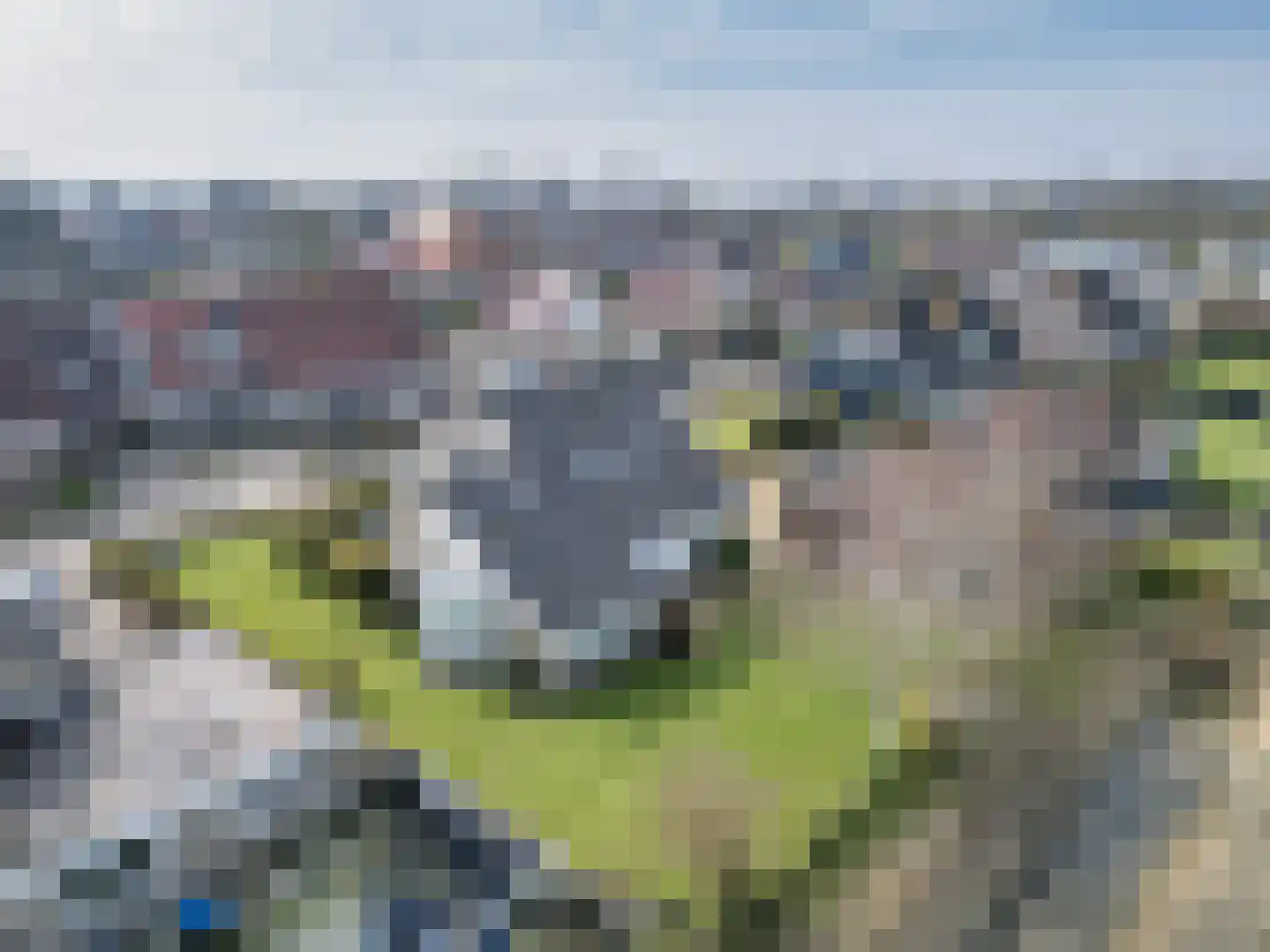 It Koekoekslân 11 Arum thumbnail 52