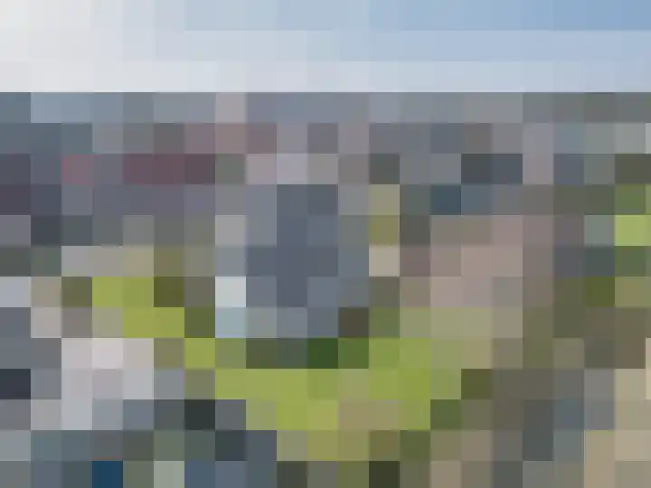 It Koekoekslân 11 Arum thumbnail 52