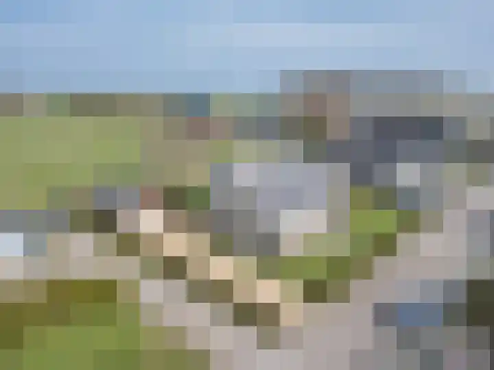 It Koekoekslân 11 Arum thumbnail 54