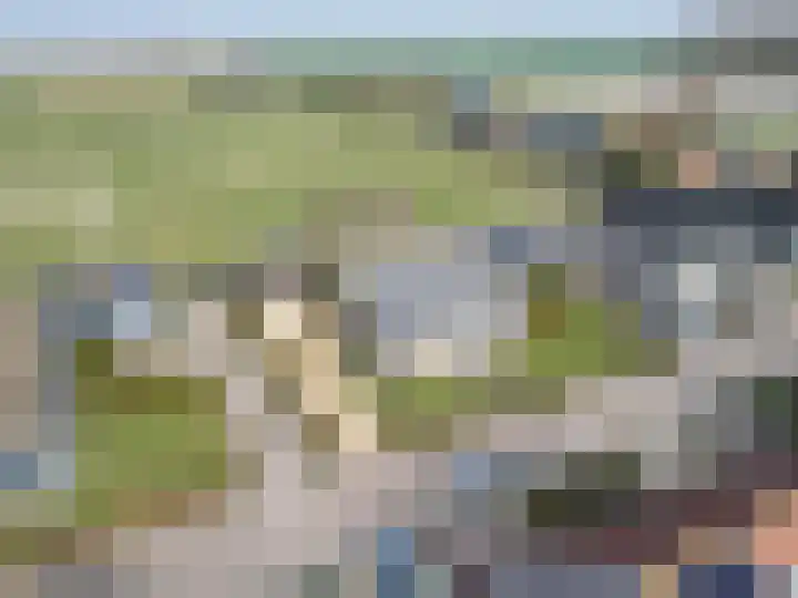 It Koekoekslân 11 Arum thumbnail 55