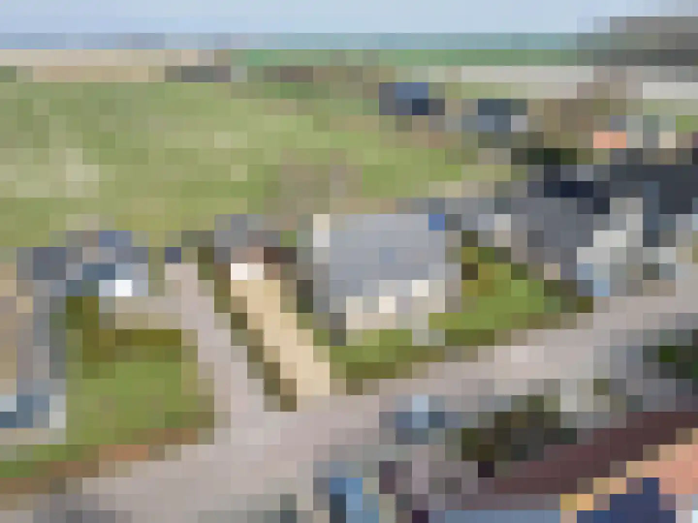 It Koekoekslân 11 Arum thumbnail 55
