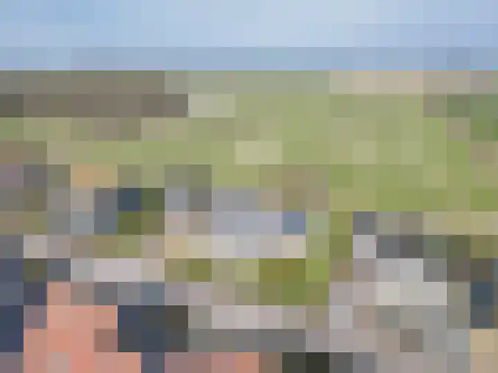 It Koekoekslân 11 Arum thumbnail 56