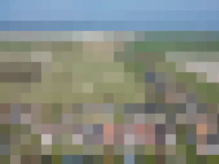 It Koekoekslân 11 Arum thumbnail 57