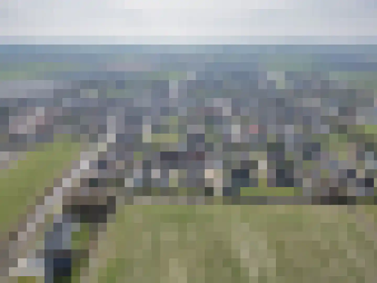 It Koekoekslân 11 Arum thumbnail 59