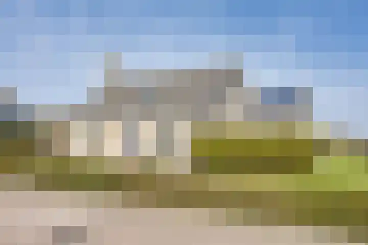 It Koekoekslân 11 Arum thumbnail 6