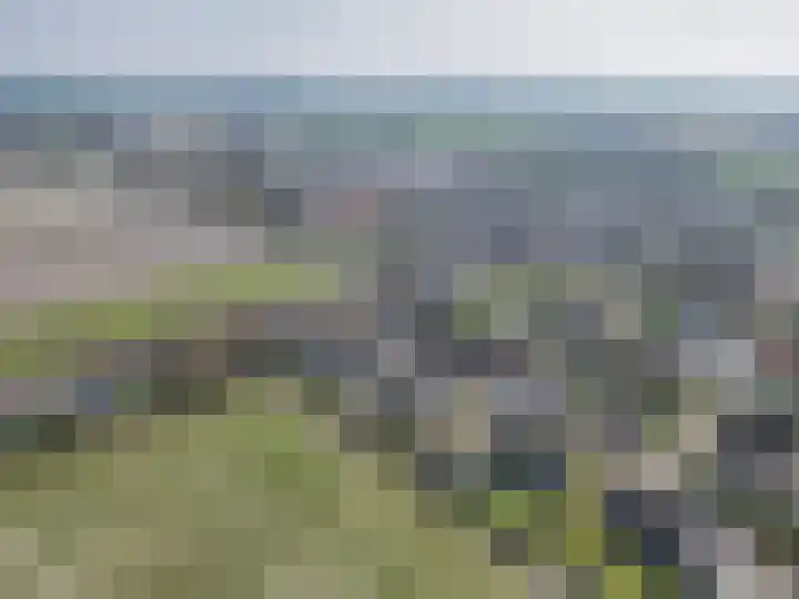 It Koekoekslân 11 Arum thumbnail 60