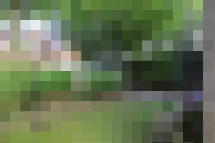 It Krûmdeel 18 Oudega thumbnail 10