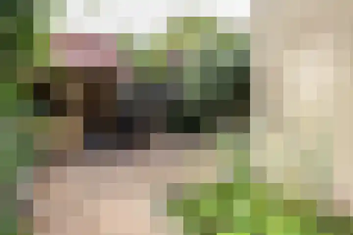 It Krûmdeel 18 Oudega thumbnail 50