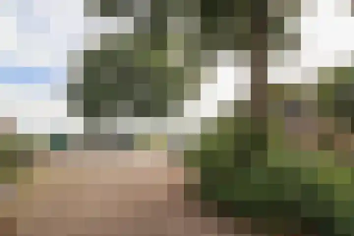 It Krûmdeel 18 Oudega thumbnail 63