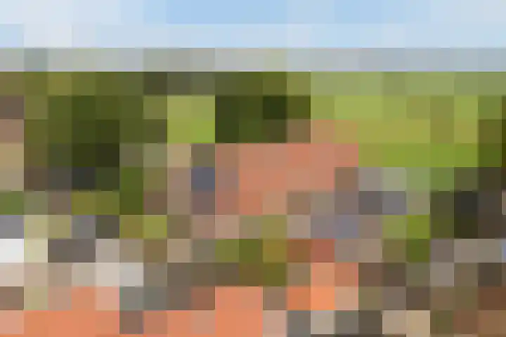 It Krûmdeel 18 Oudega thumbnail 71
