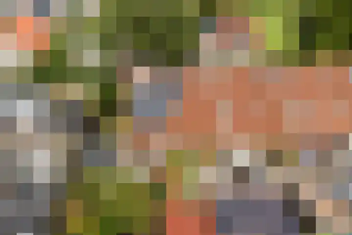 It Krûmdeel 18 Oudega thumbnail 72