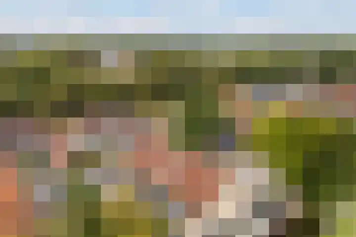 It Krûmdeel 18 Oudega thumbnail 75