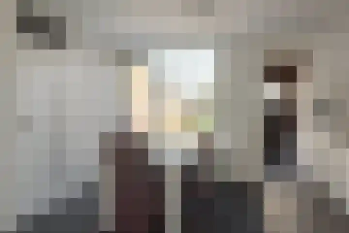 It Krûmdeel 70 Oudega thumbnail 17