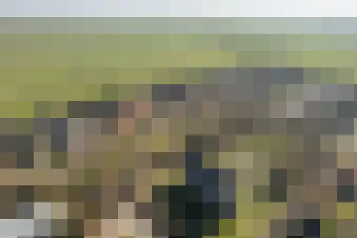It Krûmdeel 70 Oudega thumbnail 6