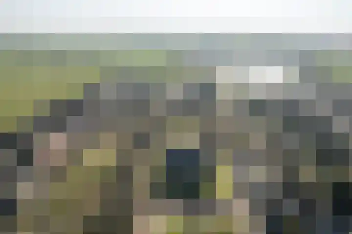 It Krûmdeel 70 Oudega thumbnail 7