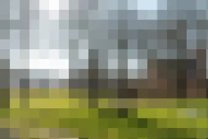It Krûmdeel 70 Oudega thumbnail 8