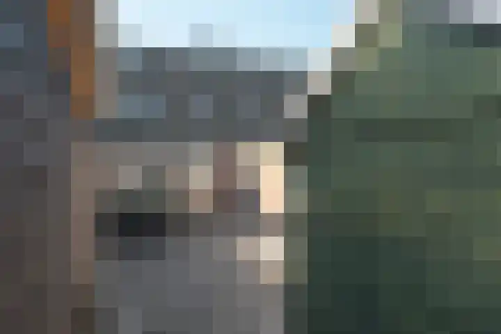 It Krûmdeel 70 Oudega thumbnail 9
