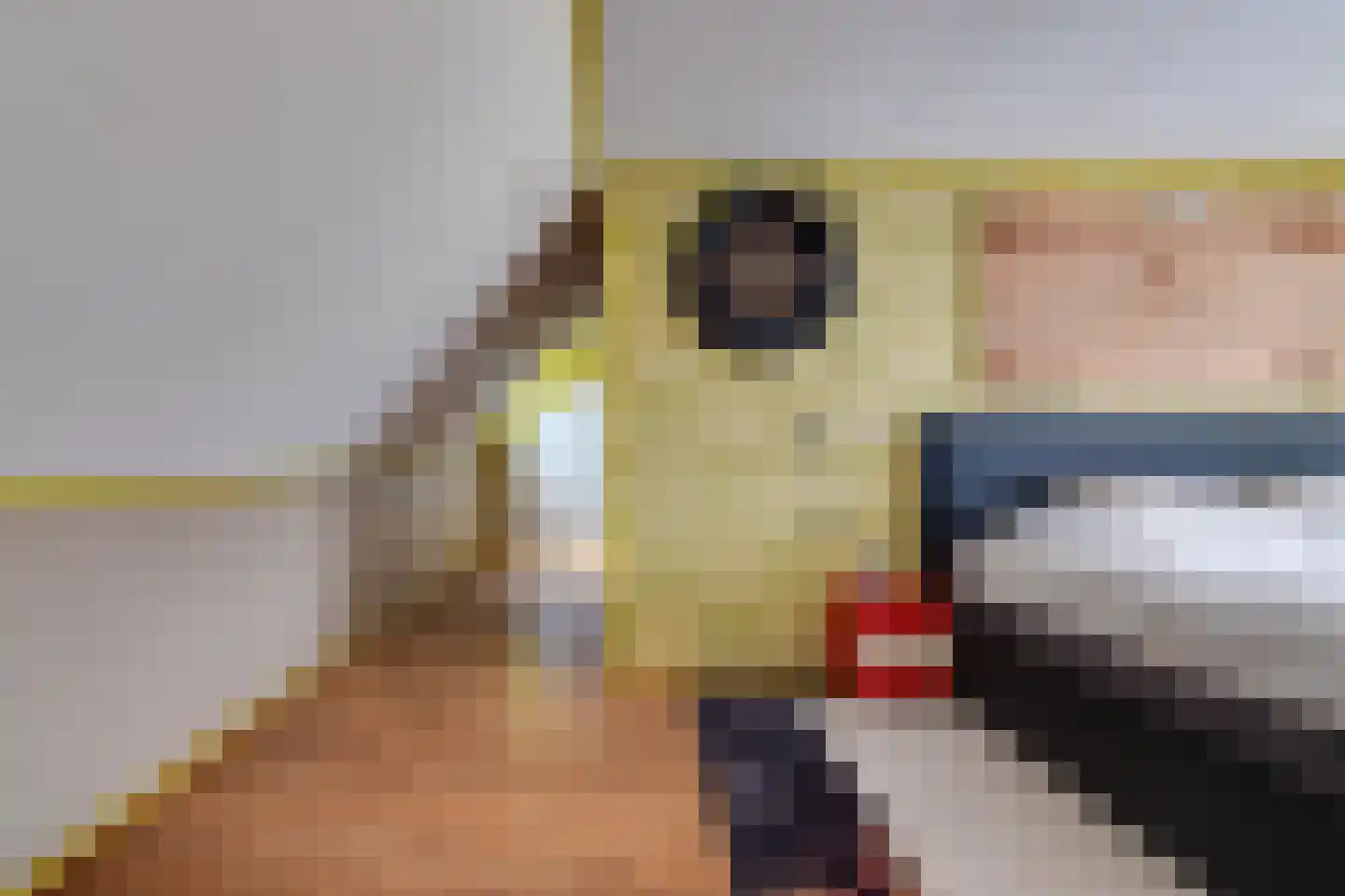 It Langfal 1 Surhuizum thumbnail 23