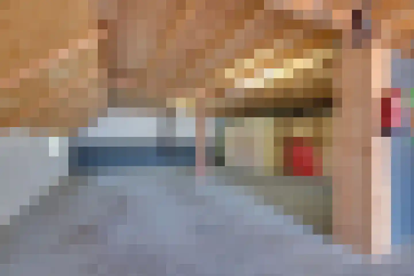 It Langfal 1 Surhuizum thumbnail 34