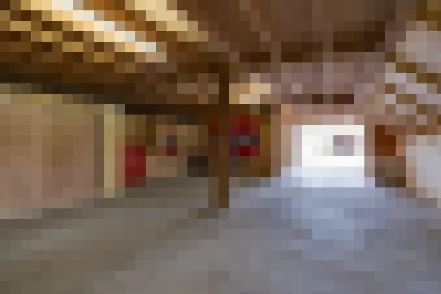 It Langfal 1 Surhuizum thumbnail 36