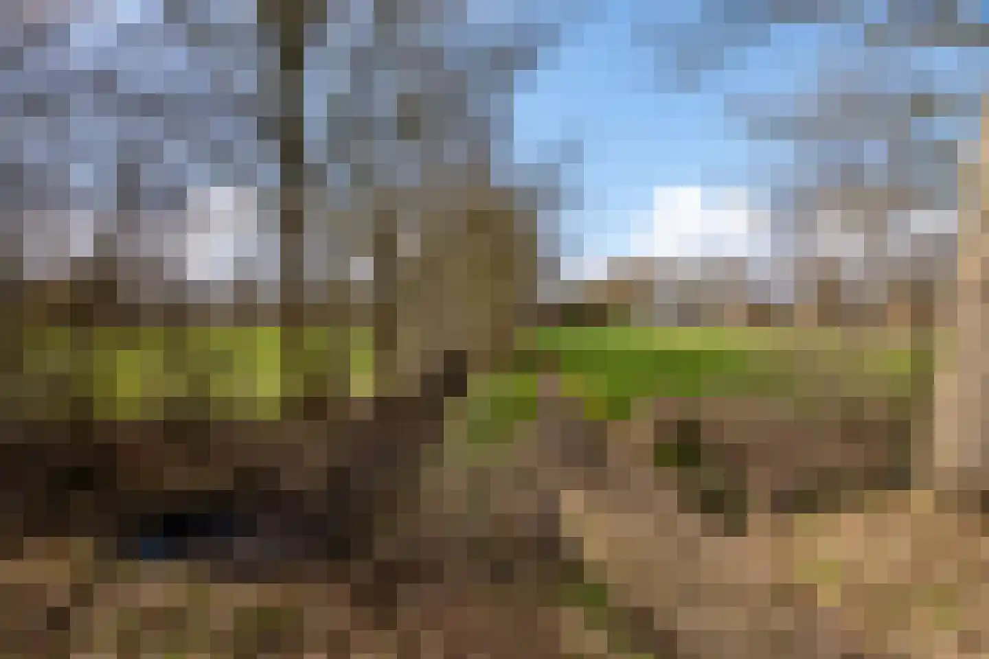 It Langfal 1 Surhuizum thumbnail 39
