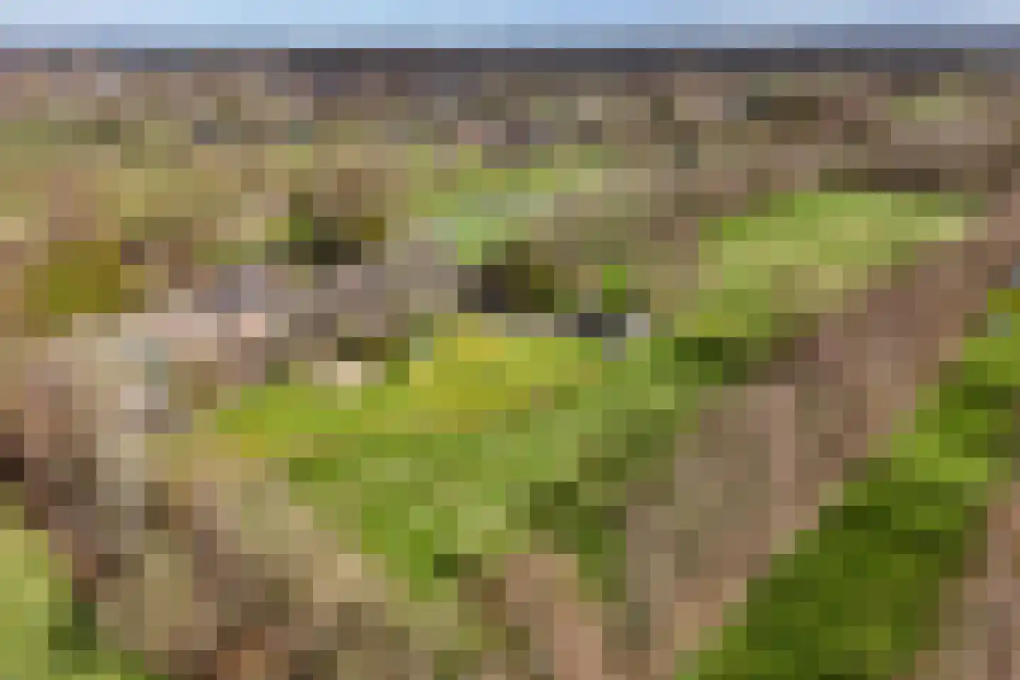 It Langfal 1 Surhuizum thumbnail 4