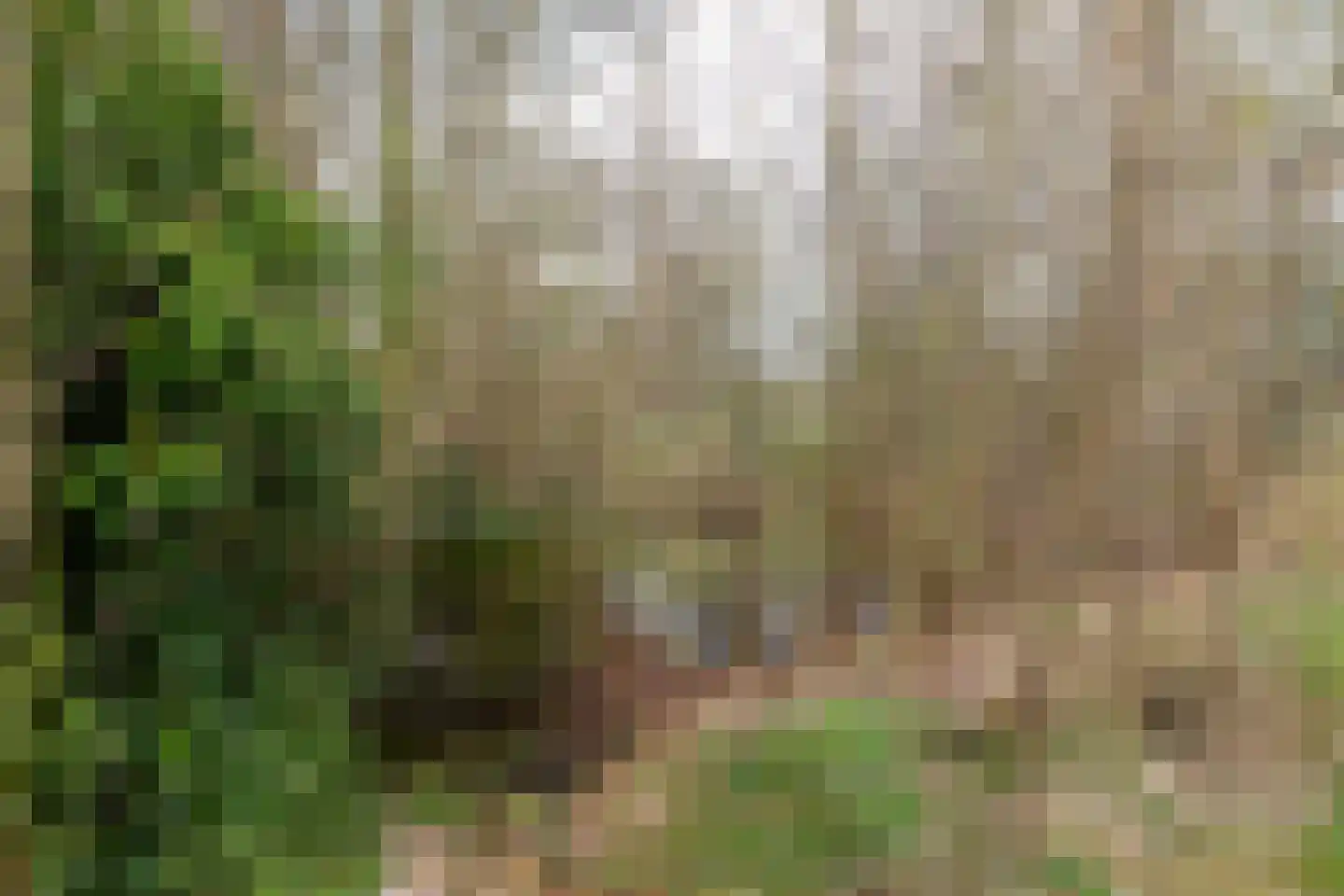 It Langfal 1 Surhuizum thumbnail 43