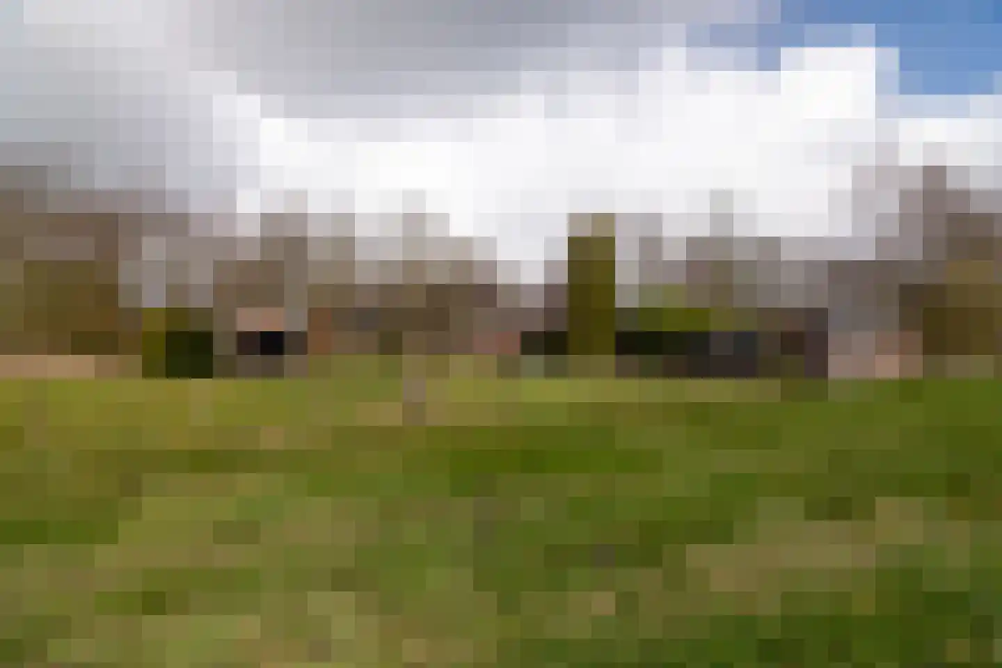 It Langfal 1 Surhuizum thumbnail 44