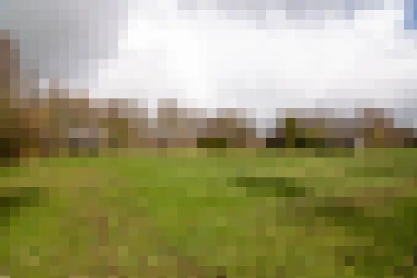 It Langfal 1 Surhuizum thumbnail 47