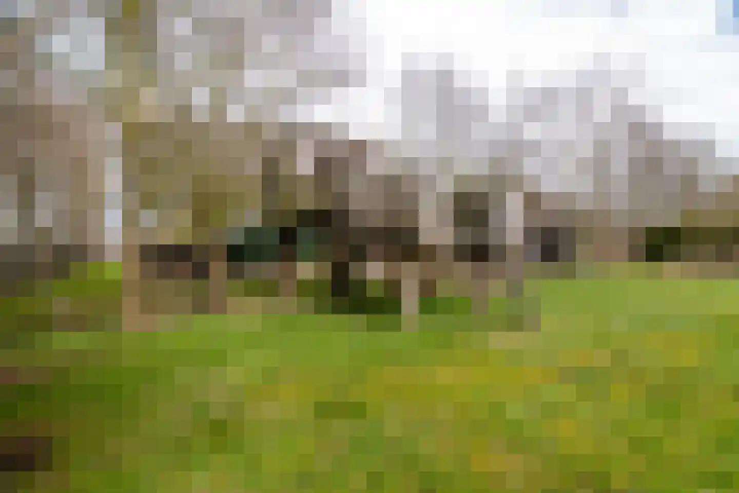 It Langfal 1 Surhuizum thumbnail 49