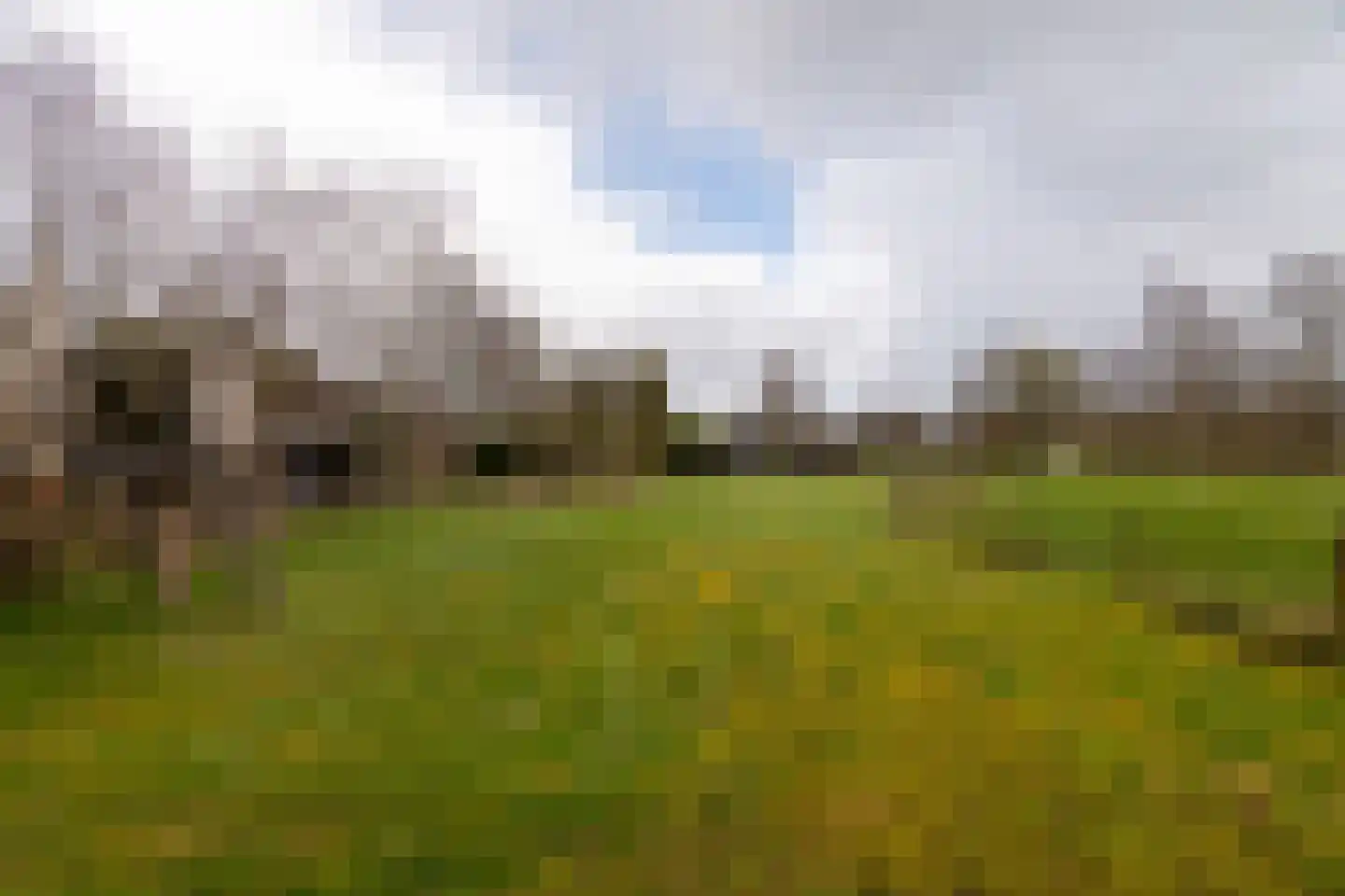 It Langfal 1 Surhuizum thumbnail 50