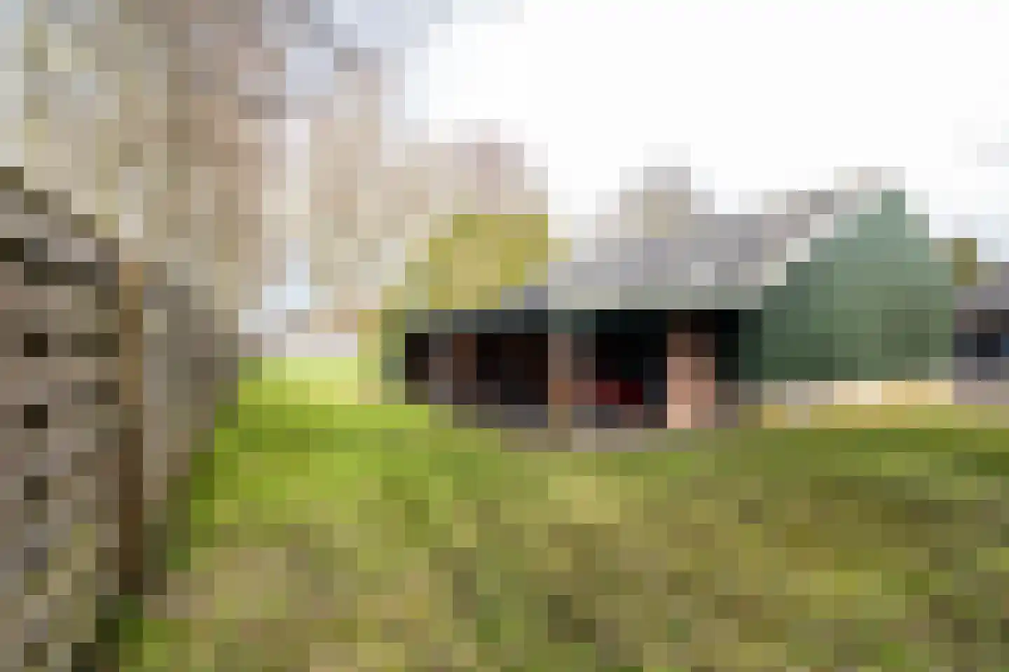 It Langfal 1 Surhuizum thumbnail 51