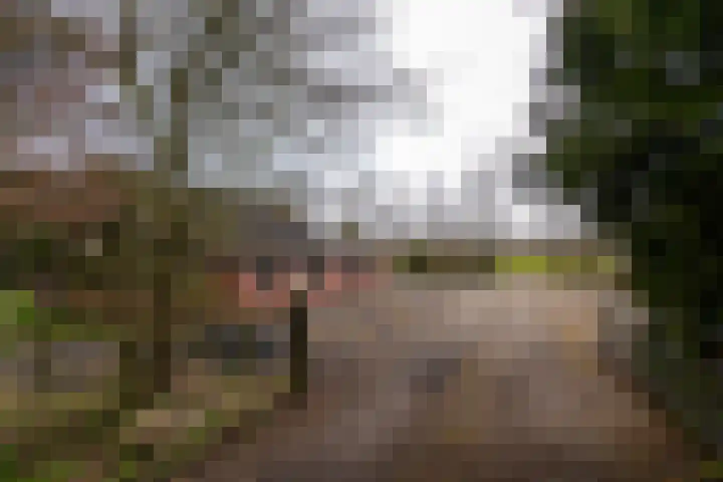 It Langfal 1 Surhuizum thumbnail 54