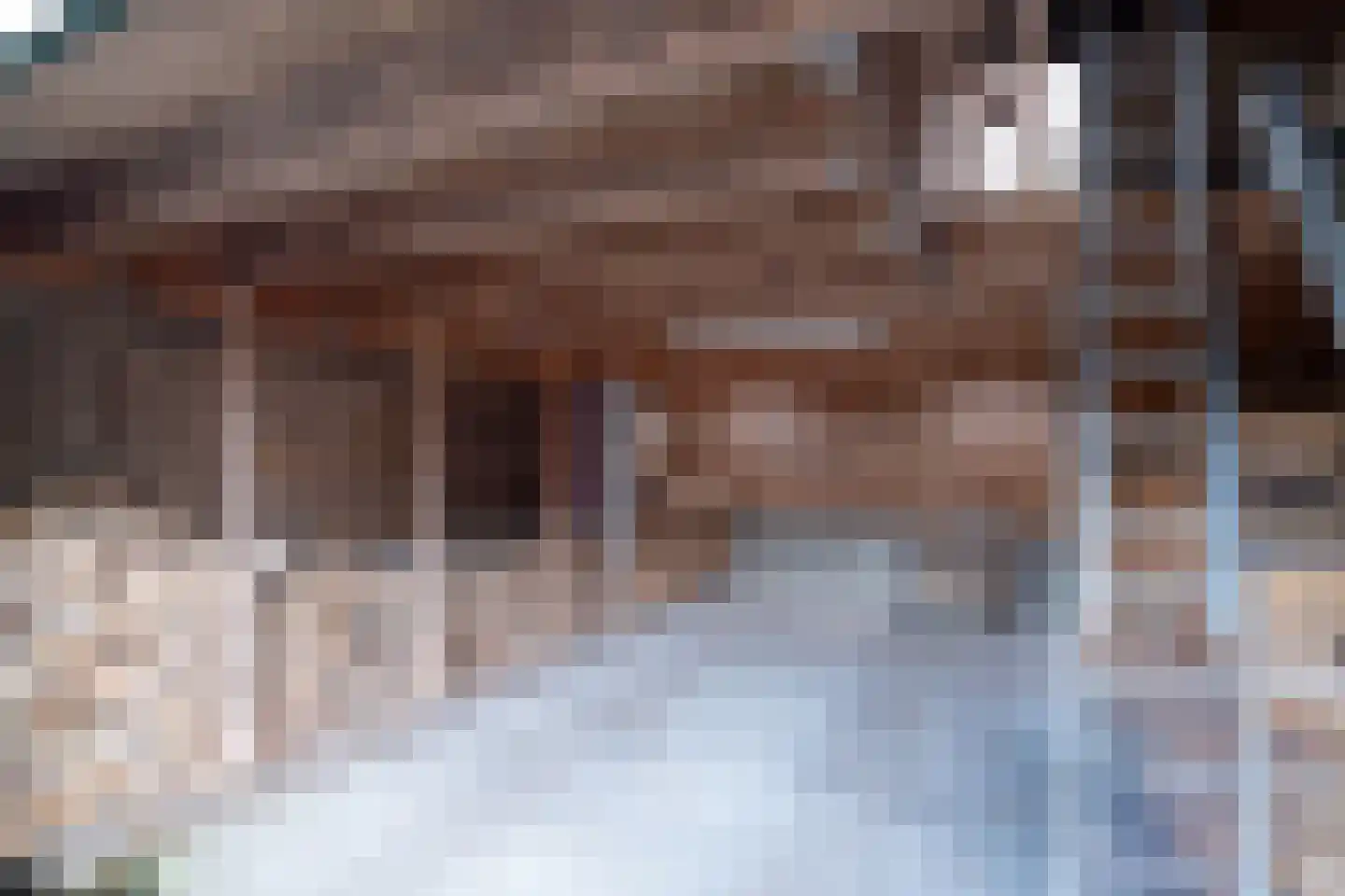 It Langfal 1 Surhuizum thumbnail 55