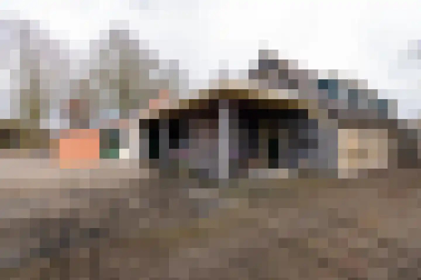 It Langfal 1 Surhuizum thumbnail 56
