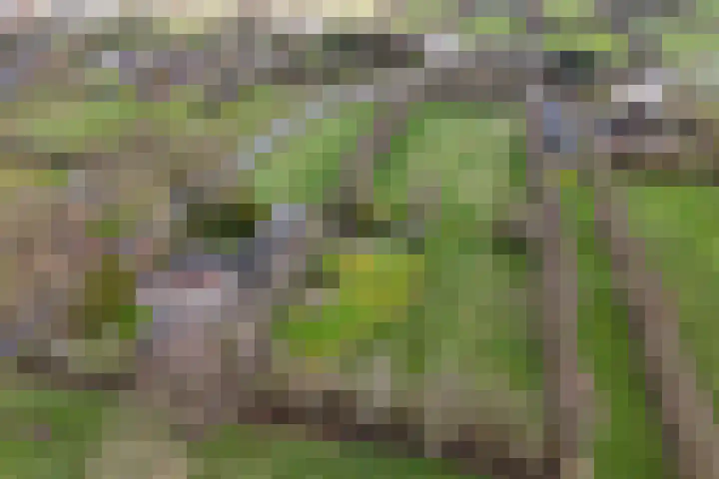 It Langfal 1 Surhuizum thumbnail 61