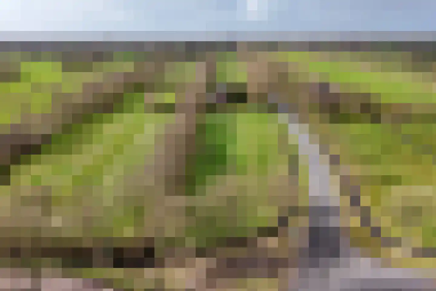 It Langfal 1 Surhuizum thumbnail 62